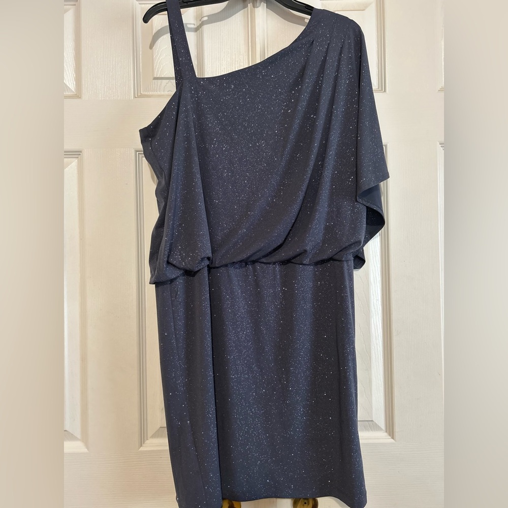 Ronni Nicole Size 14